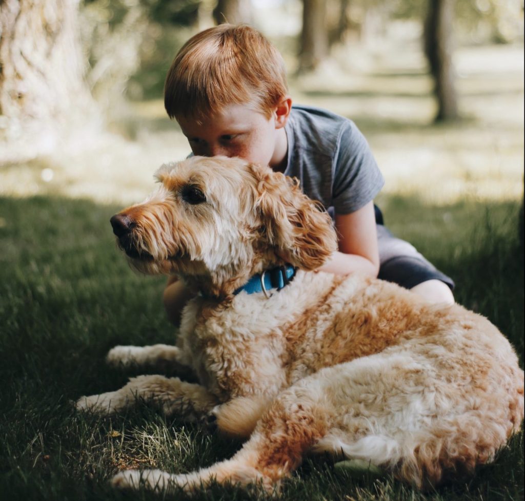 Goldendoodle with Child