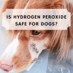 is hydrogen peroxide safe for dogs