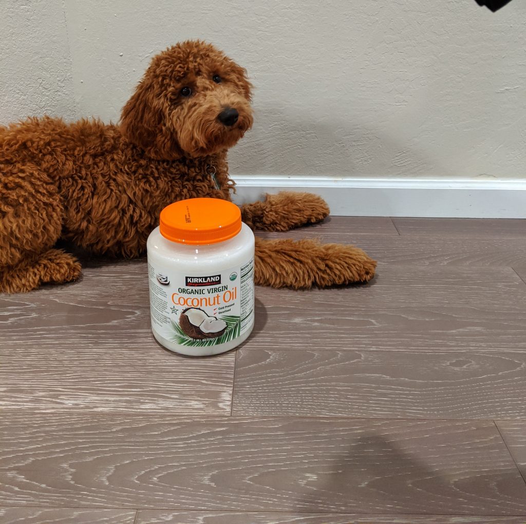 My dog ate coconut oil. What should I do? - We Love Doodles