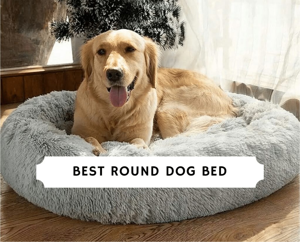 Best Round Dog Bed - Top 10 Picks! 25 Best Round Dog Bed