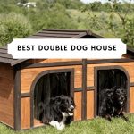 Best Double Dog House