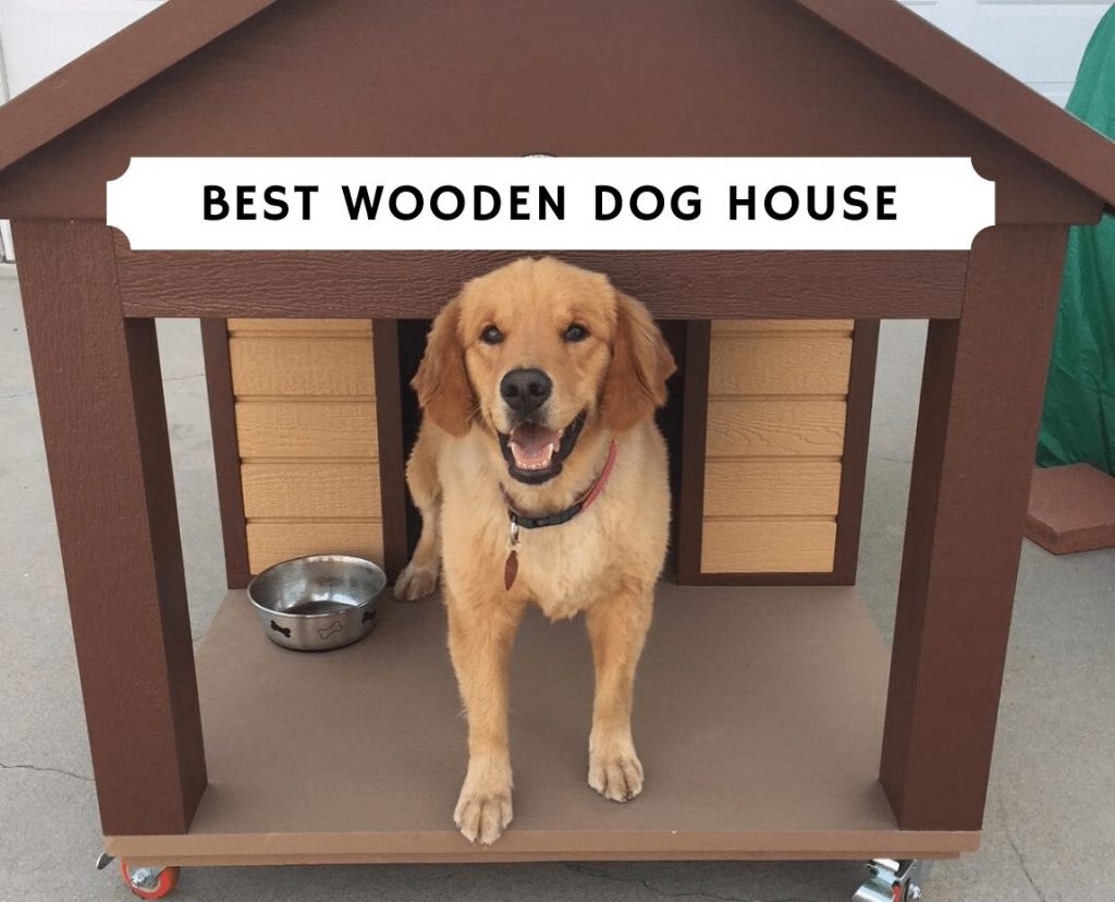 Best wooden dog house