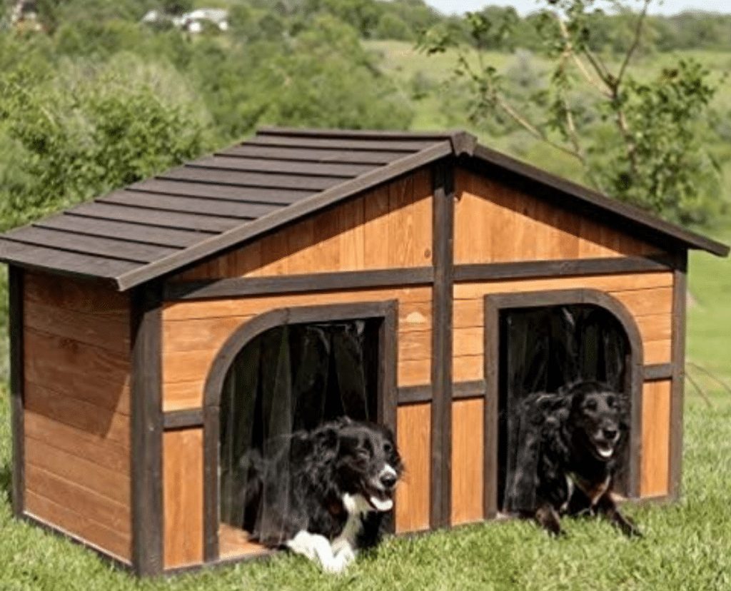 dog house for two large dogs