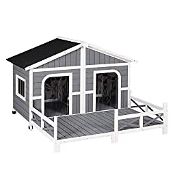 Best Double Dog House (2023) - Dog House For Two Dogs - We Love Doodles