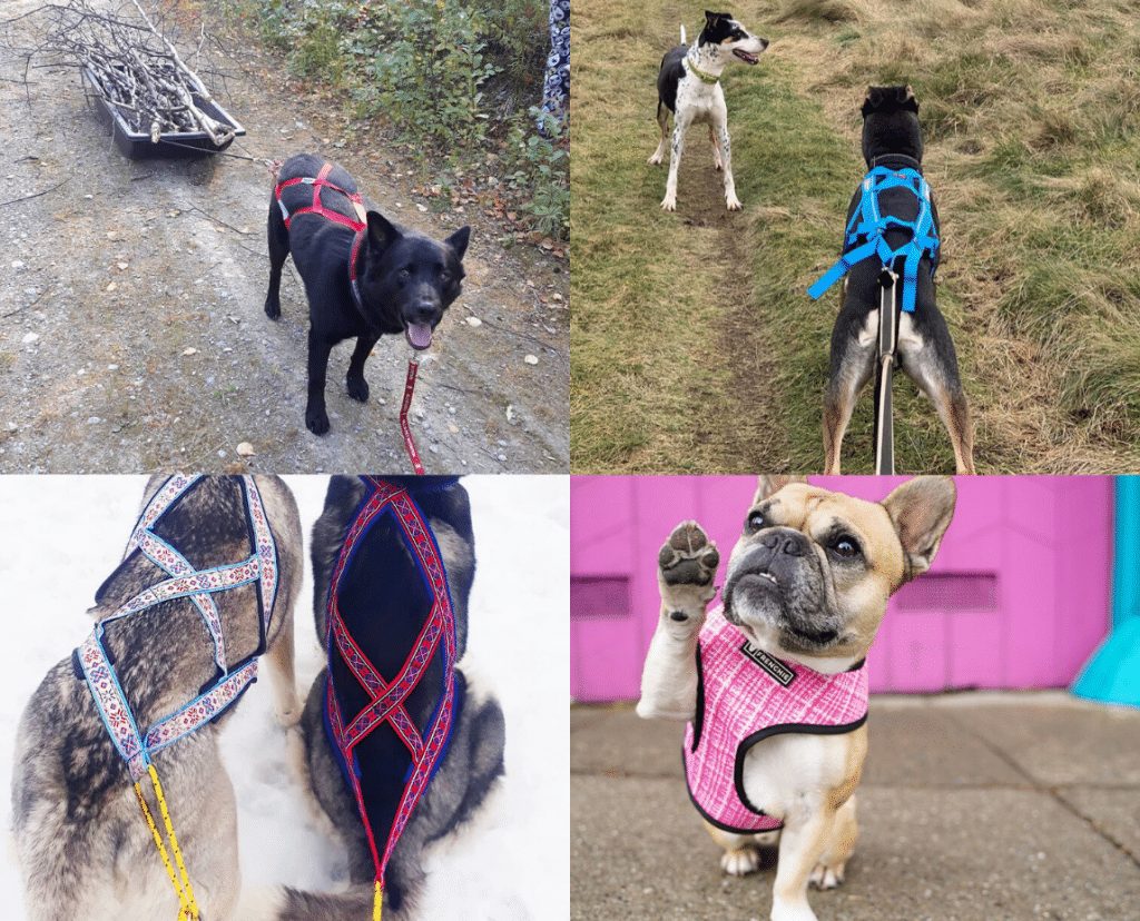 Unbranded Dog Weight Pull Harness – Heavy Duty Pulling Harness For Training