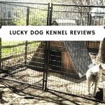 lucky dog kennel reviews