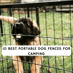 10 Best Portable Dog Fences for Camping