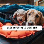 Best Inflatable Dog Bed