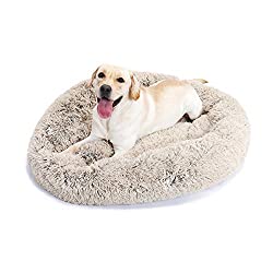 Best Round Dog Bed - Top 10 Picks! (2024) - We Love Doodles