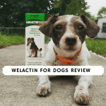 Welactin for Dogs Review