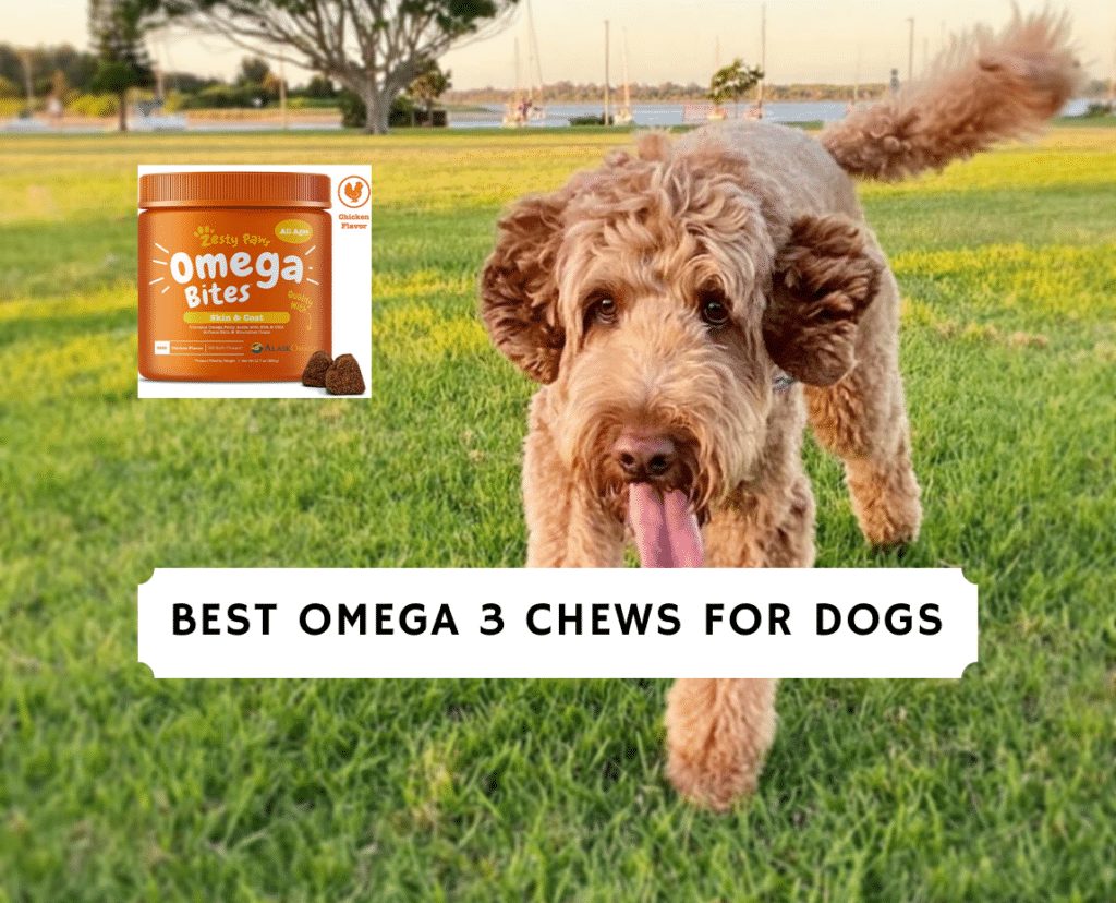 Best Omega 3 Chews for Dogs (2020) - The Healthy Supplement 1 Best omega 3 chews for dogs