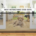 Best retractable dog gate
