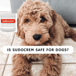 is sudocrem safe for dogs_