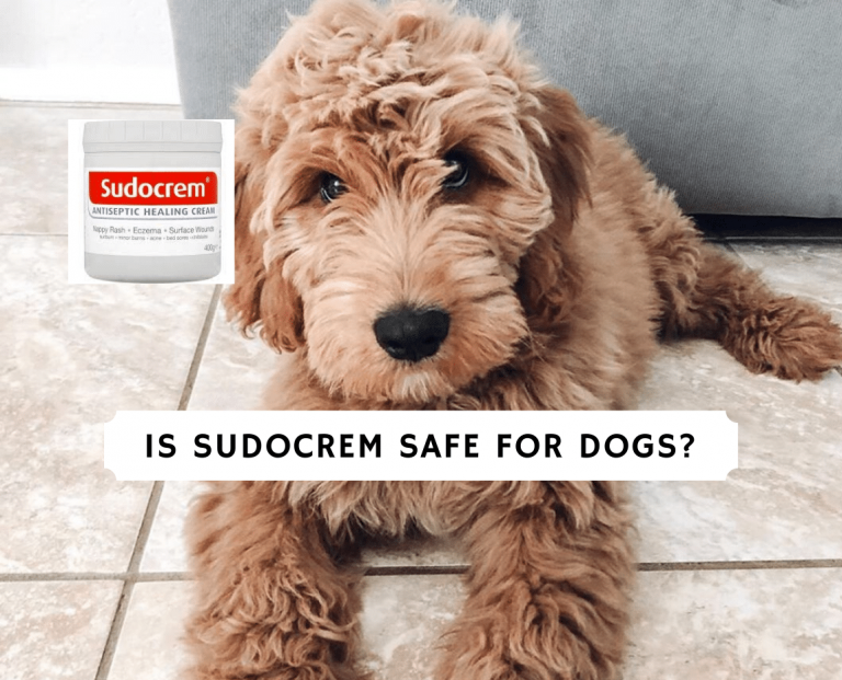 is sudocrem safe for dogs_