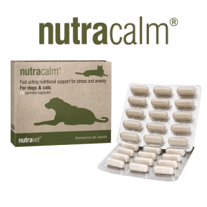 nutricalm for dogs