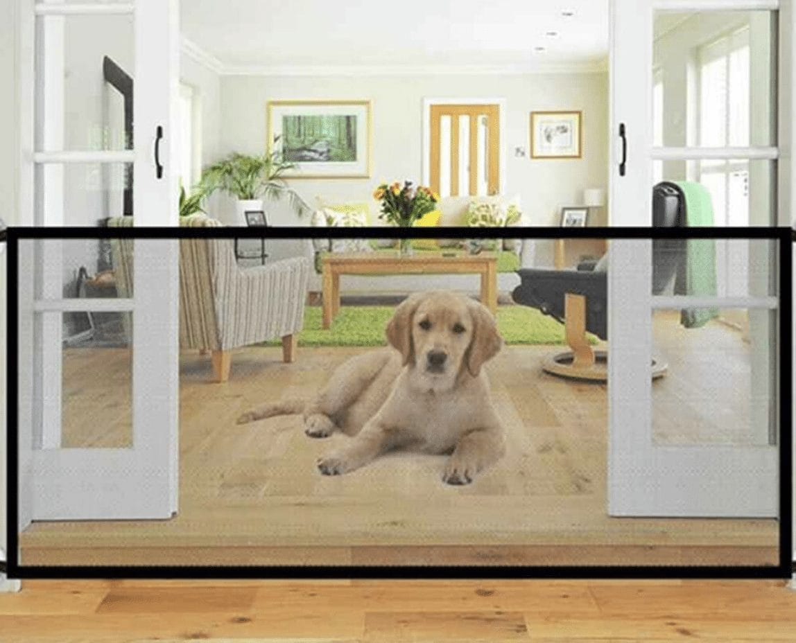 Best Retractable Dog Gate (2023 