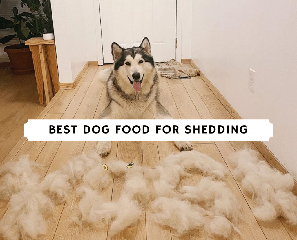 Best Dog Food for Shedding (2020) - Top 10 list! 1 Best Dog Food for Shedding