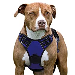 Eagloo Harness Collar for Large Dogs that Pull