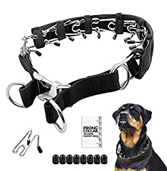 Mayerzon Prong Collar for Large Dogs that Pull