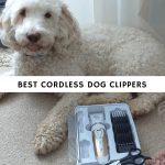 best cordless dog clippers