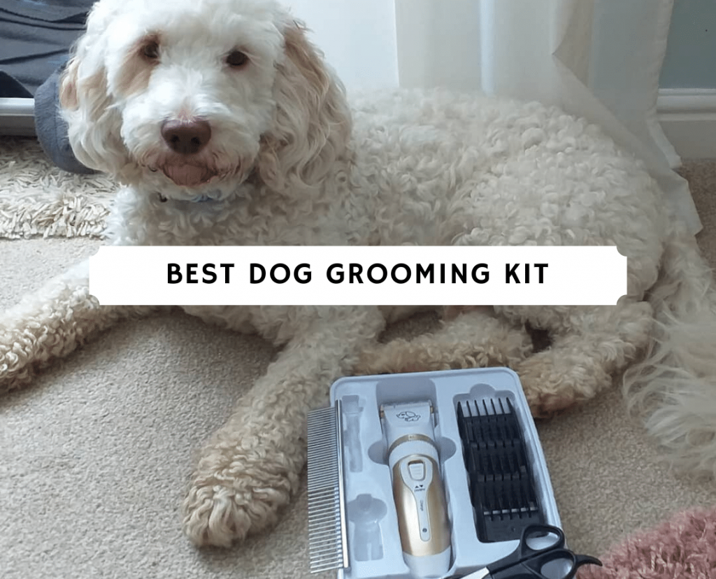 best electric dog clippers