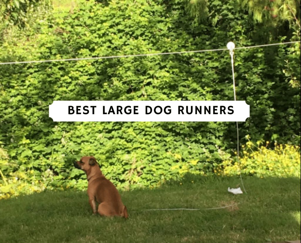 Best Large Dog Runners (2020) 1 best large dog runners