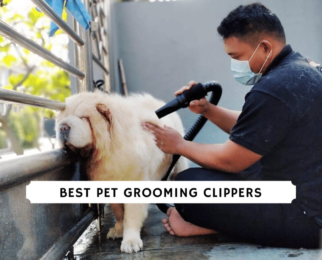 Best Pet Grooming Clippers (2020) - Dogs, Cats, Horses, Etc. 1 best pet grooming clippers