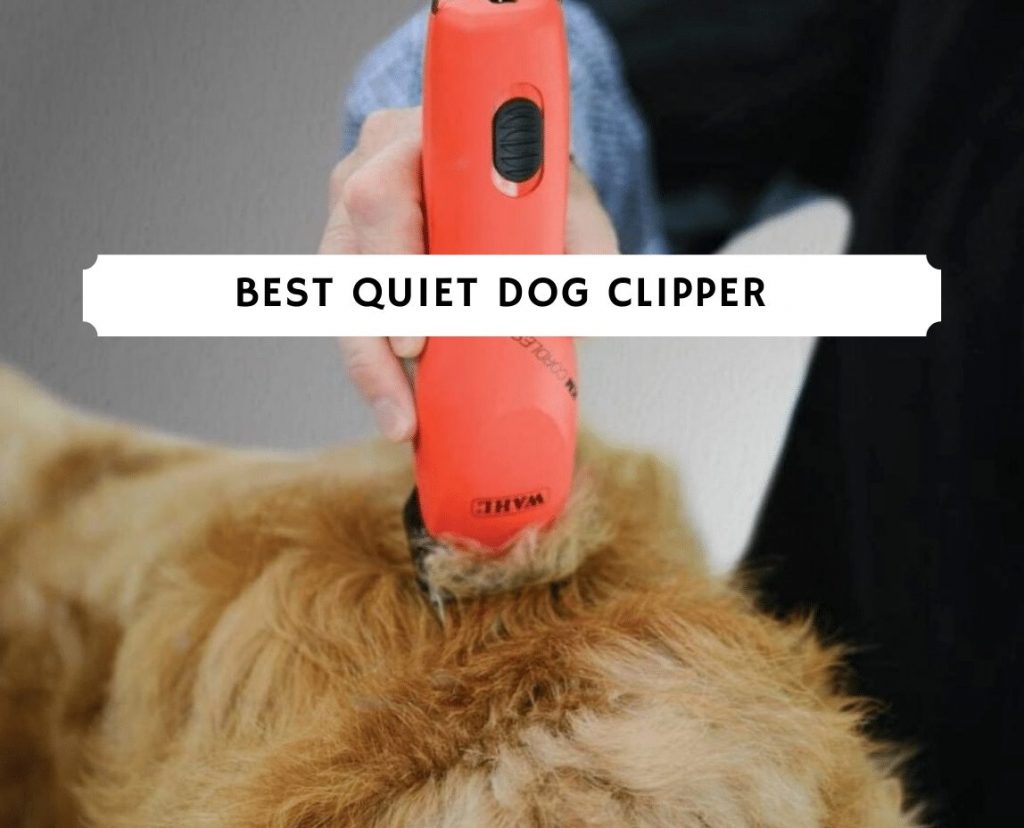 best quiet dog clippers