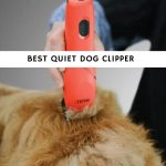 best quiet dog clipper