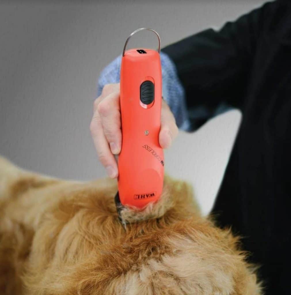 Fresh Look at Best Quiet Dog Clippers 2023 Silent Grooming