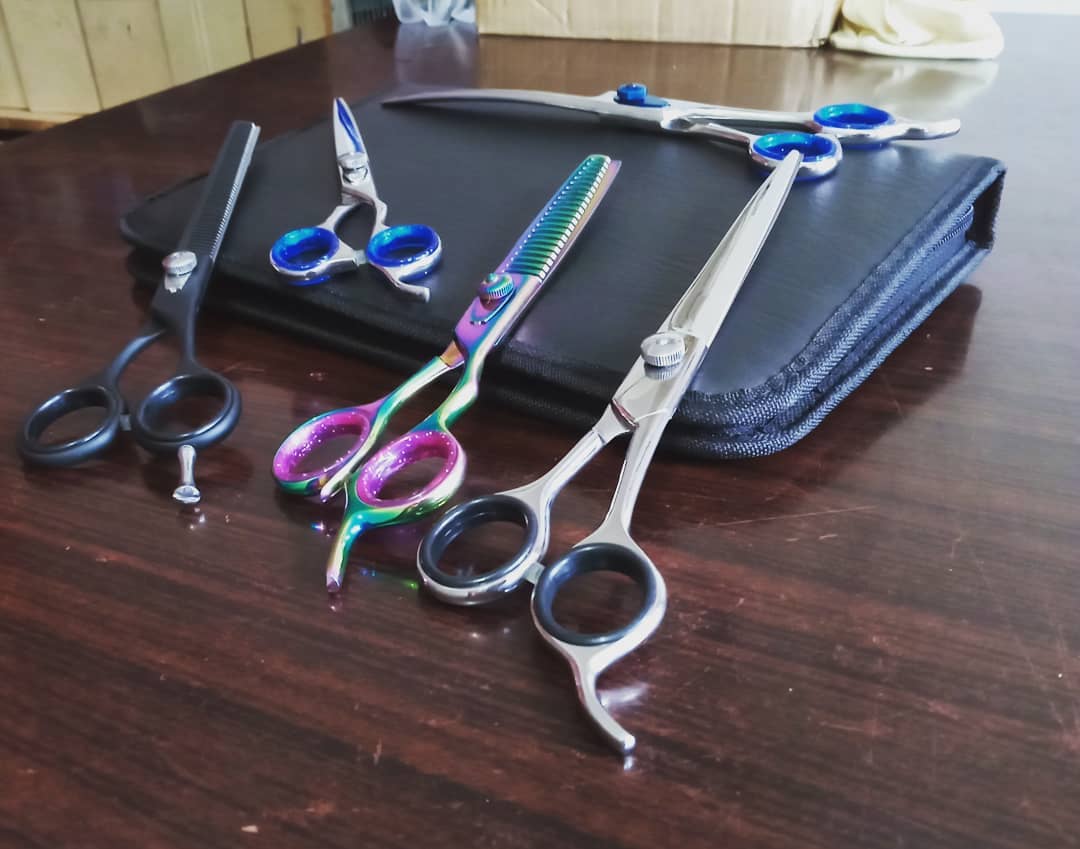 Best Dog Grooming Shears (2022) - Groom Your Dog with Ease - We Love Doodles