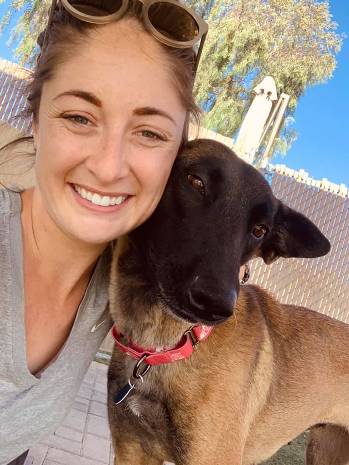 Best Dog Rescue in Arizona (2024) Top 10 Picks! We Love Doodles