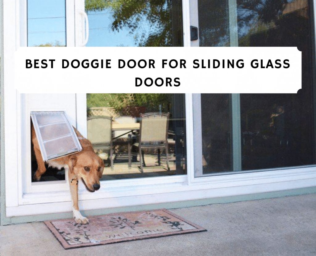 Best Doggie Doors for Sliding Glass Doors (2020) - Top 8 Picks! 1 Best Doggie Door for Sliding Glass Doors