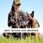 Best Tactical Dog Backpack