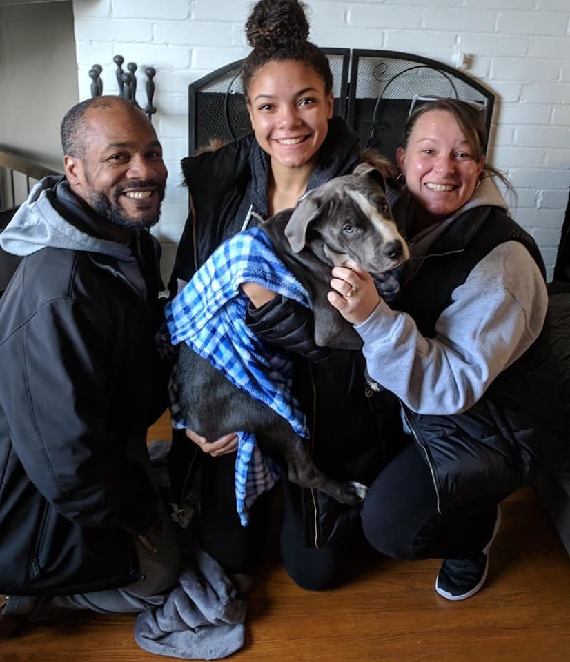 Best Dog Rescue in Massachusetts – Top 10!