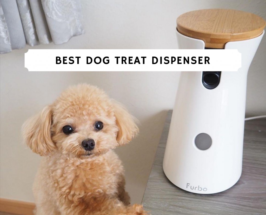 https://welovedoodles.com/wp-content/uploads/2020/07/best-dog-treat-dispenser-1024x828.jpg