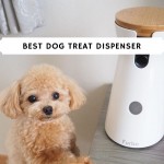 best dog treat dispenser