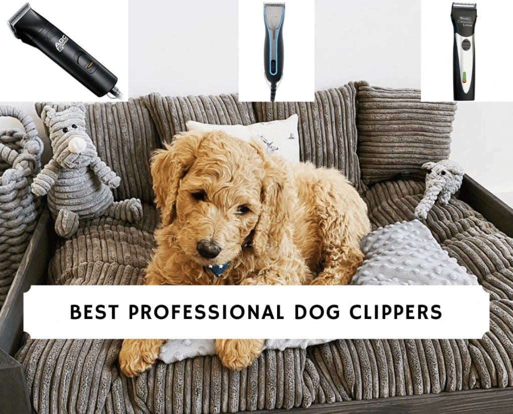 best professional clippers for goldendoodles