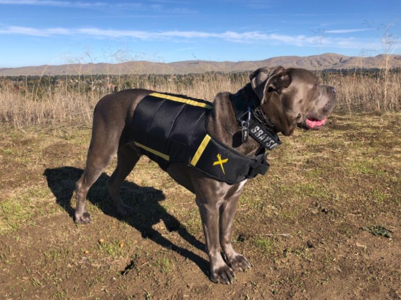 weighted anxiety vest for dogs