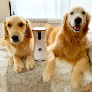 https://www.welovedoodles.com/wp-content/uploads/2020/07/wifi-dog-treat-dispenser-300x300.jpg