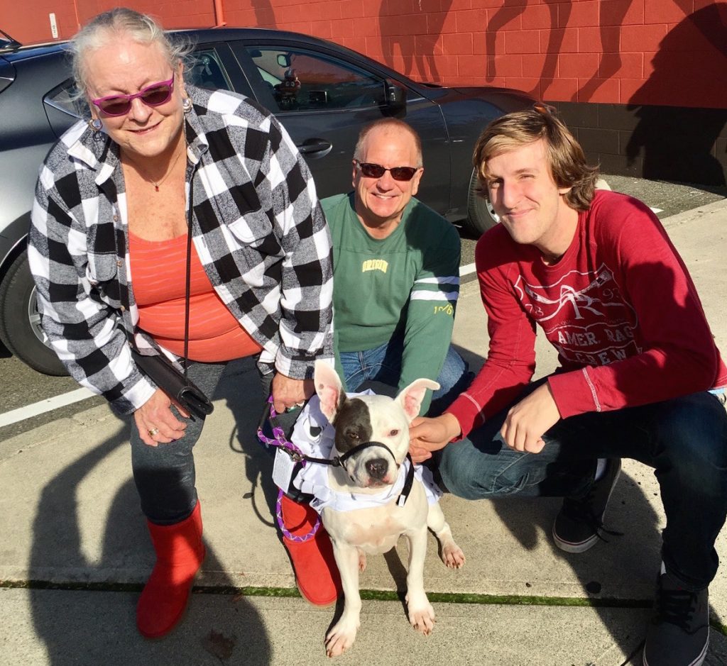 Best Seattle Dog Rescue (2023) Top 6 Picks! We Love Doodles