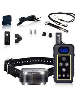 dog shock collar long range