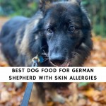 Best Dog Food For German Shepherd with Skin Allergies