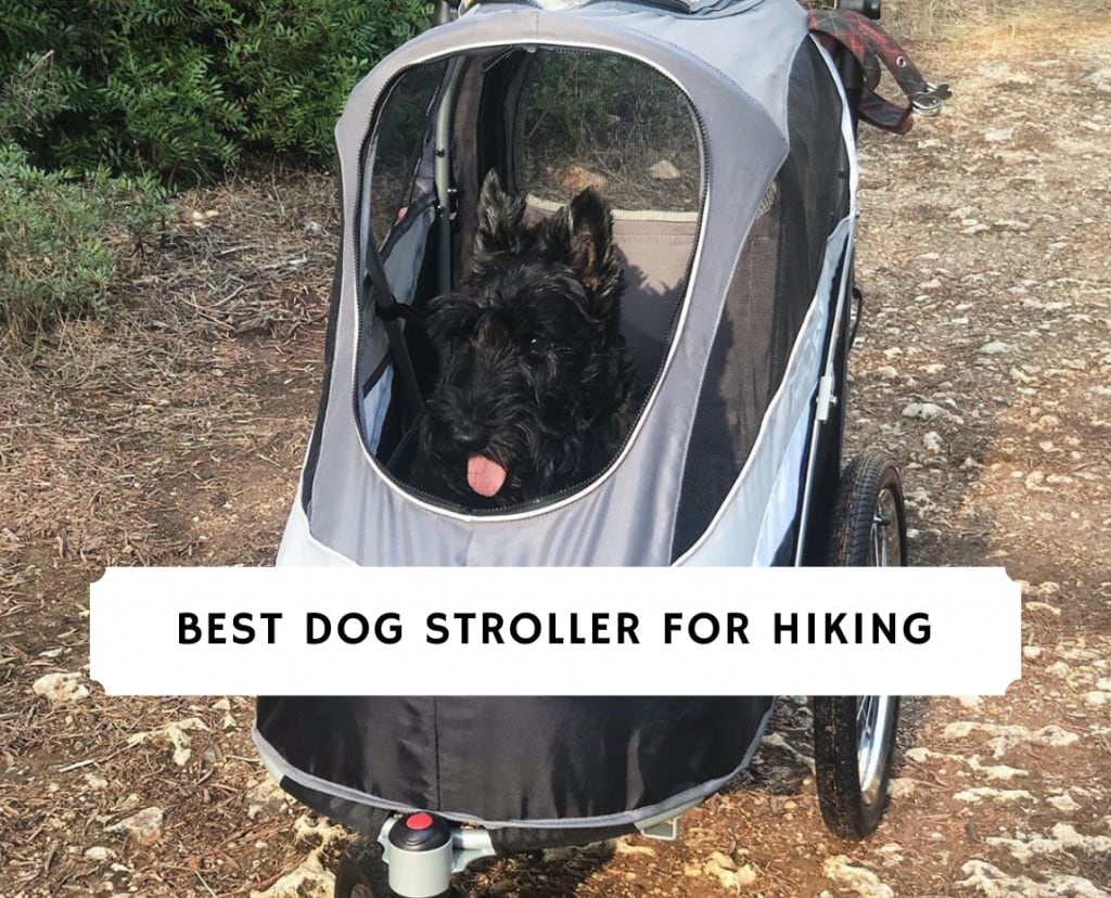 Off road best sale dog stroller