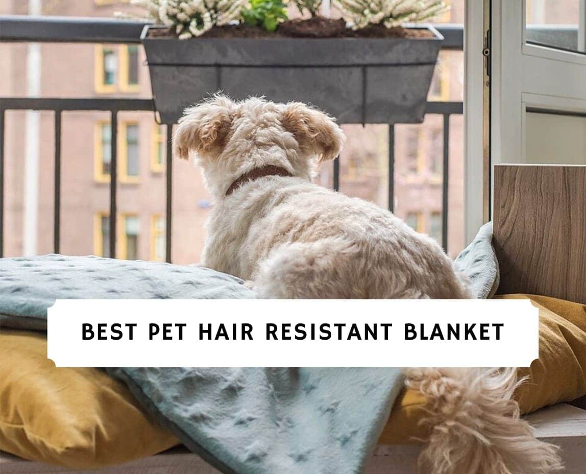 Pet hair resistant blanket for online humans