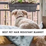 Best Pet Hair Resistant Blanket
