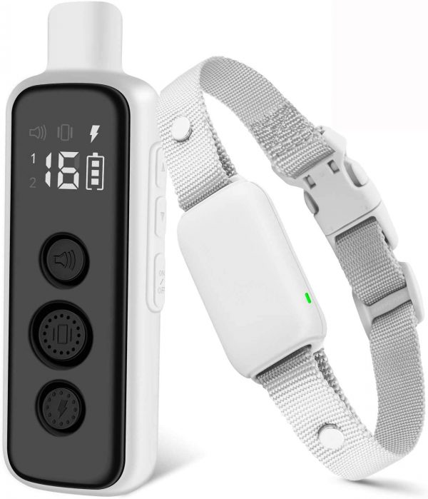 Best Shock Collar for Long Hair Dogs Top 8 Picks! (2023) We Love