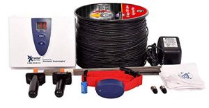 invisible fence for multiple dogs