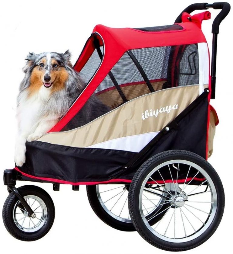 Best Dog Stroller for Hiking Top 9 Picks! (2024) We Love Doodles