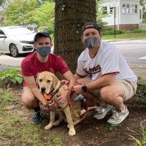 Labrador Retriever Rescue – Washington DC area